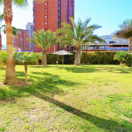 Gemelos 26 22e Levante